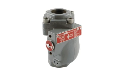 Fisher™ G200/G201 Series Back Check Valves