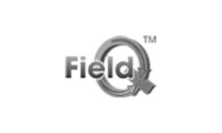 fIeldq